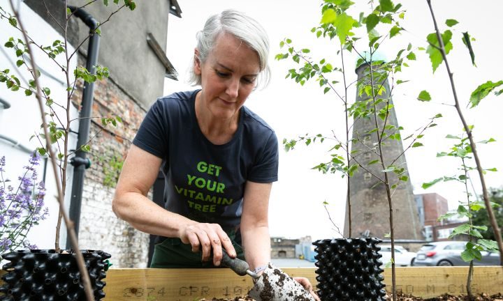 A woman stands at a wooden planting table. She is leaning over it, holding a small garden trowel as she scoops up soil. She is surrounded by tree saplings in small black pots and is concentrating on her task.
