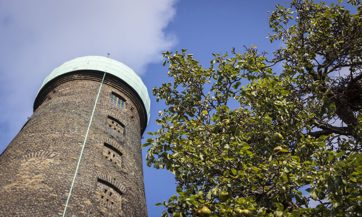 St. Patrick's tower featuring the pear tree against a bright blue sky.